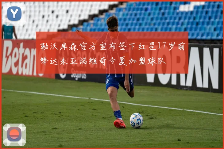 勒沃库森官方宣布签下红星17岁前锋达米亚诺维奇今夏加盟球队