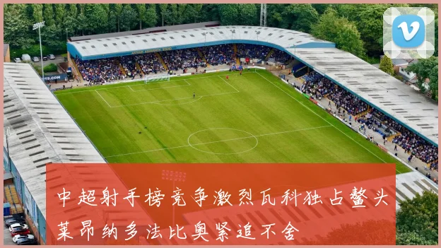 中超射手榜竞争激烈瓦科独占鳌头莱昂纳多法比奥紧追不舍